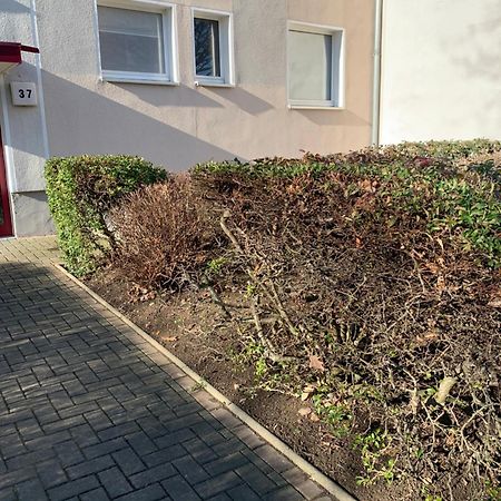 Mycha Ferienwohnung ゴスラー エクステリア 写真
