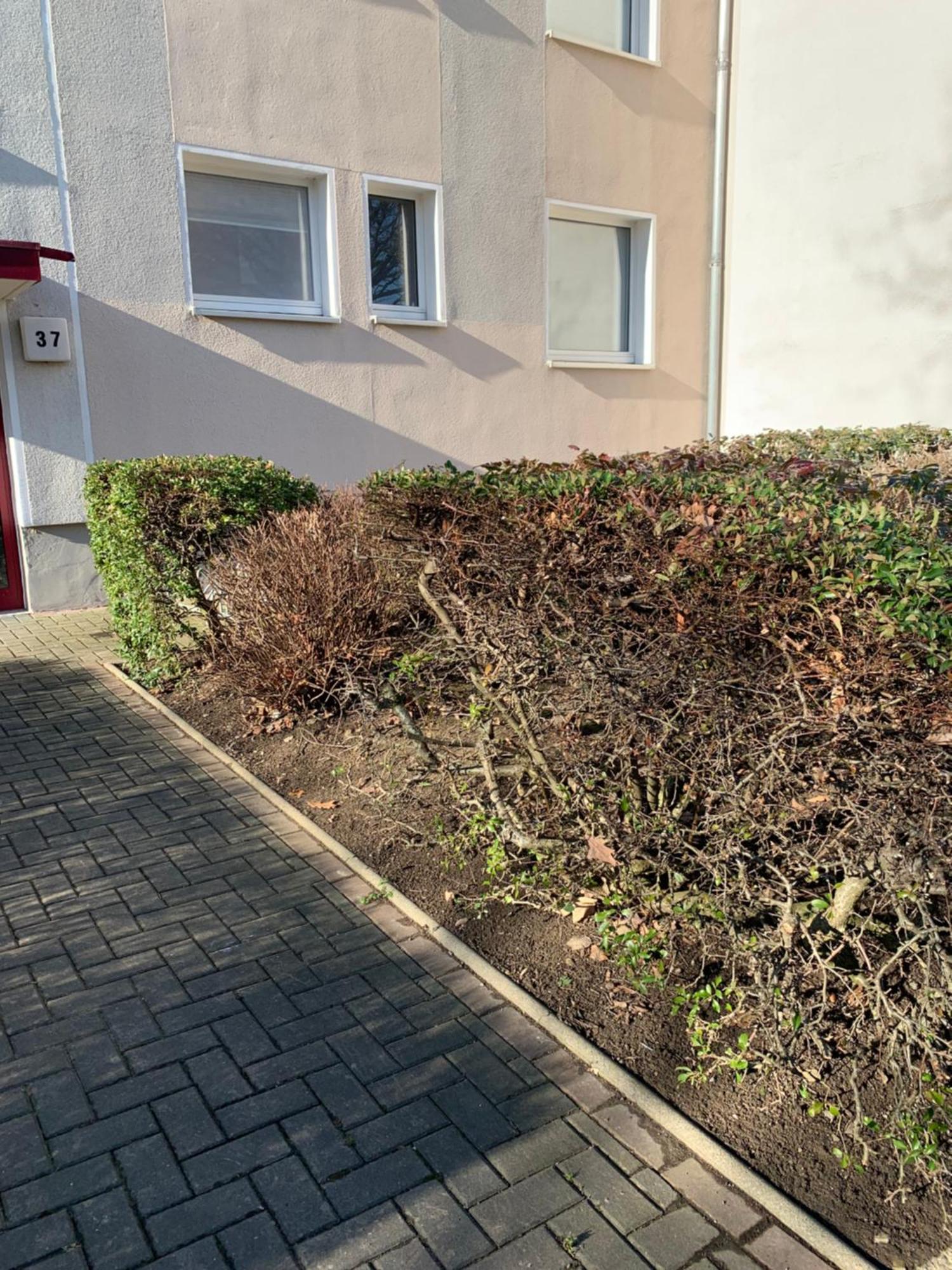 Mycha Ferienwohnung ゴスラー エクステリア 写真